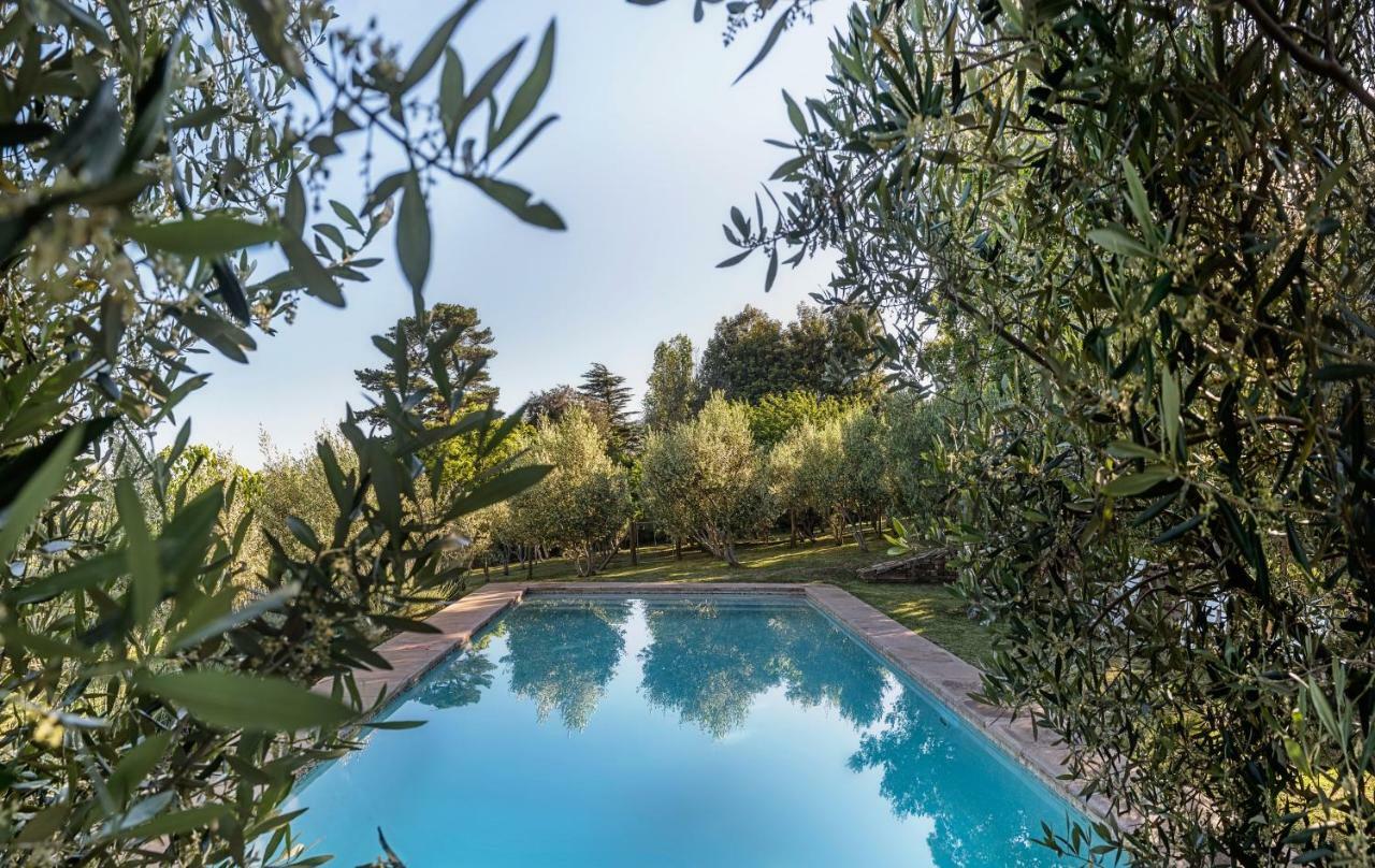 Longfield House Βίλα Στέλενμπος Εξωτερικό φωτογραφία