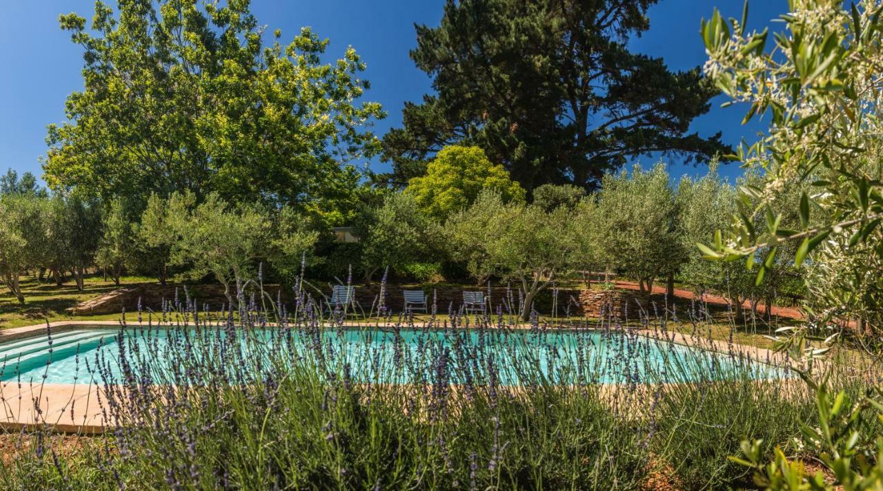 Longfield House Βίλα Στέλενμπος Εξωτερικό φωτογραφία